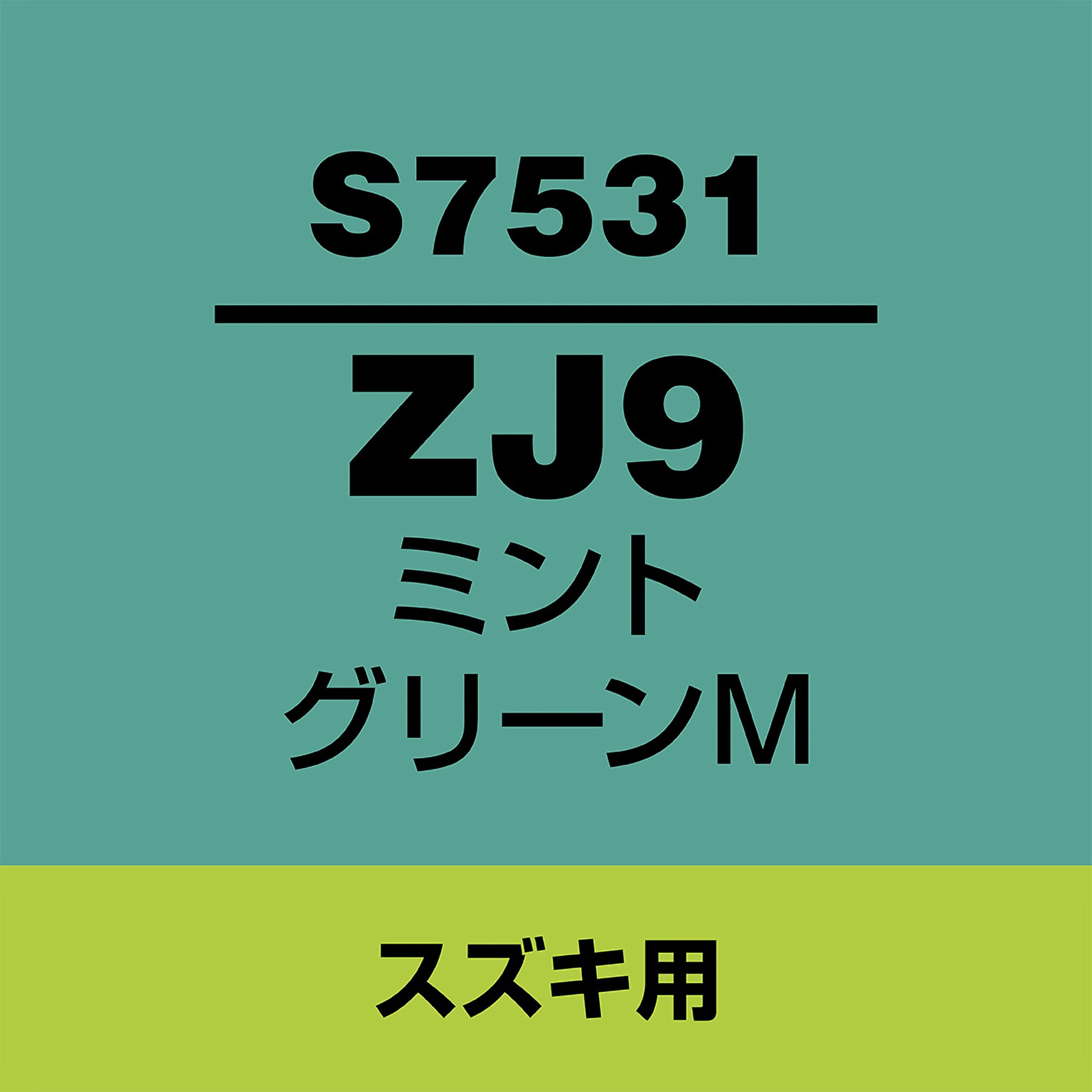 Amazon | SOFT99 (ソフト99) スズキ【ZJ9】ミントグリーンM 補修
